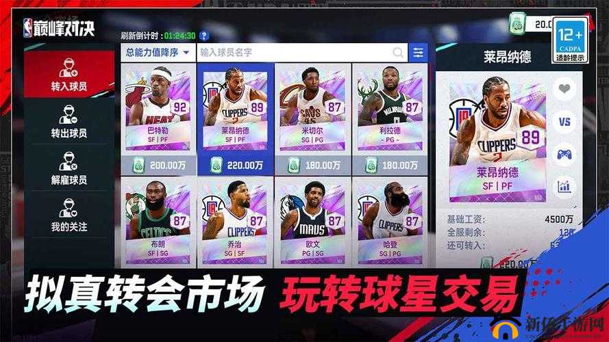 美职篮梦之队3,球队资源获取与使用全攻略