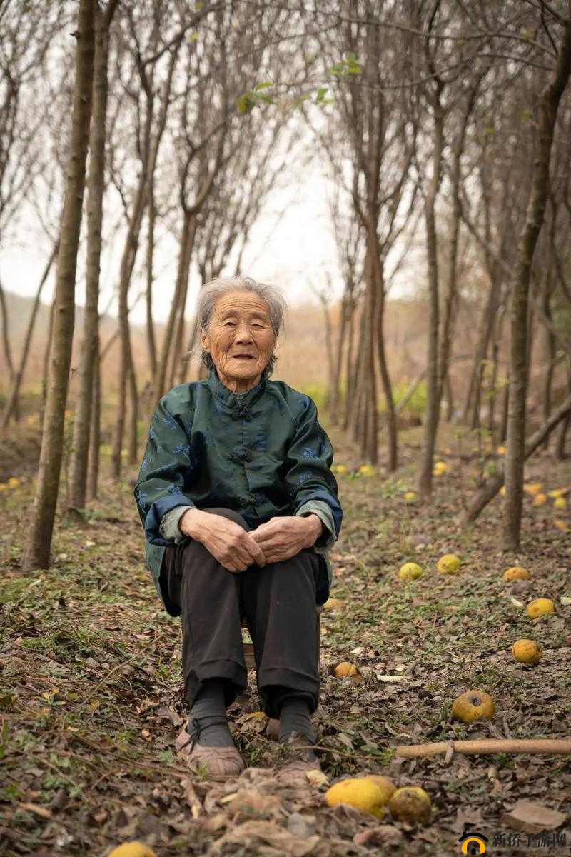 国产老太婆精品久久久久之独特魅力呈现