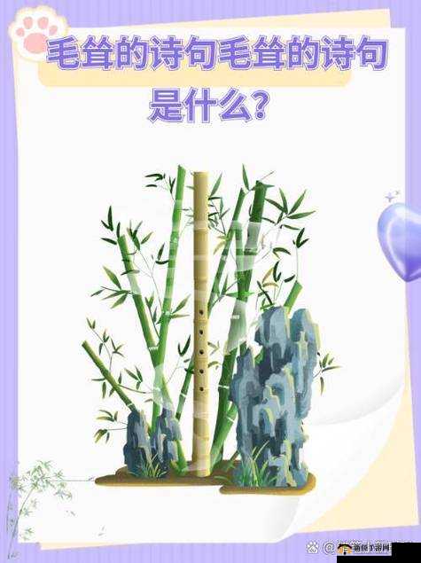 国产毛耸耸,真的有那么好吗?