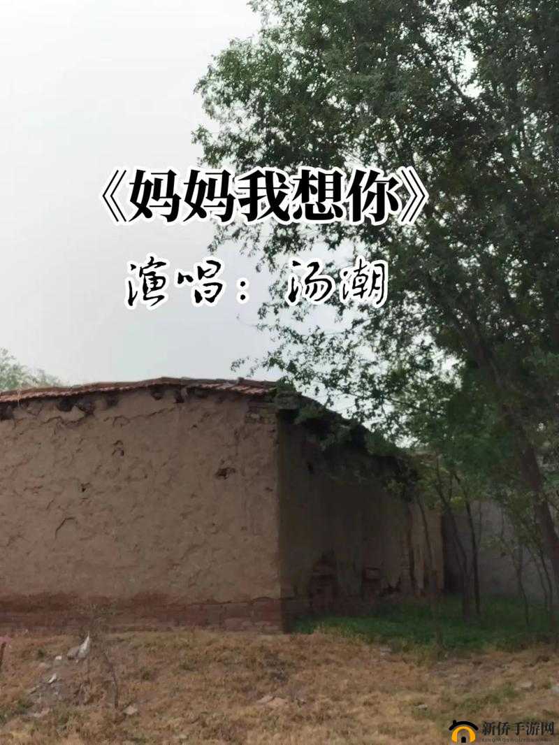高清 MV妈妈我想你看完令人泪如雨下