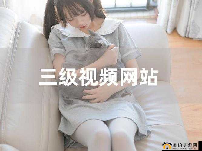 请直接在三及艳黄免费看后添加:高清视频,免费观看