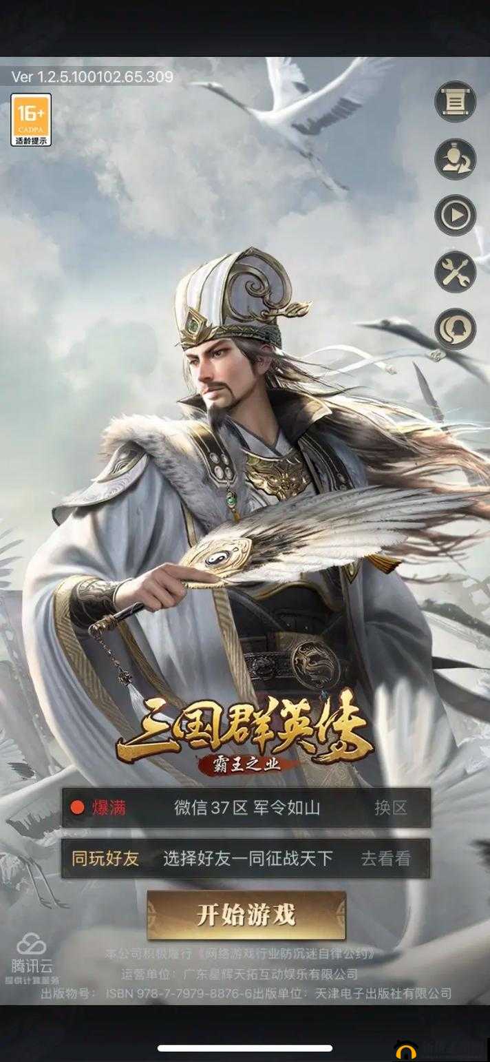 三国群英传，霸王之业深度解析，野外剿匪策略与技巧全攻略