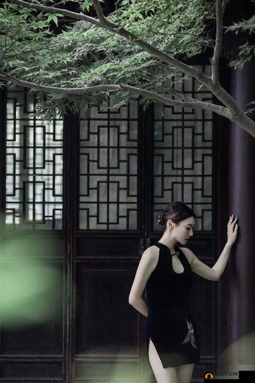 老师黑色双开真丝旗袍寓意:优雅与知性的完美融合