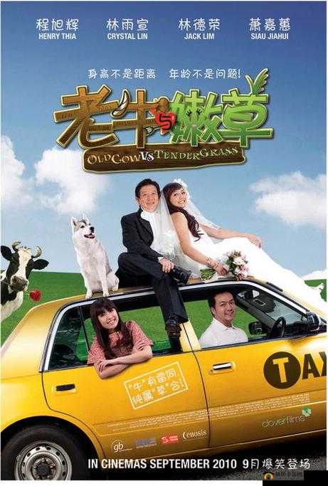 老牛嫩草一二三产品区别蘑菇视频版本升级完成:深度解析与功能优化