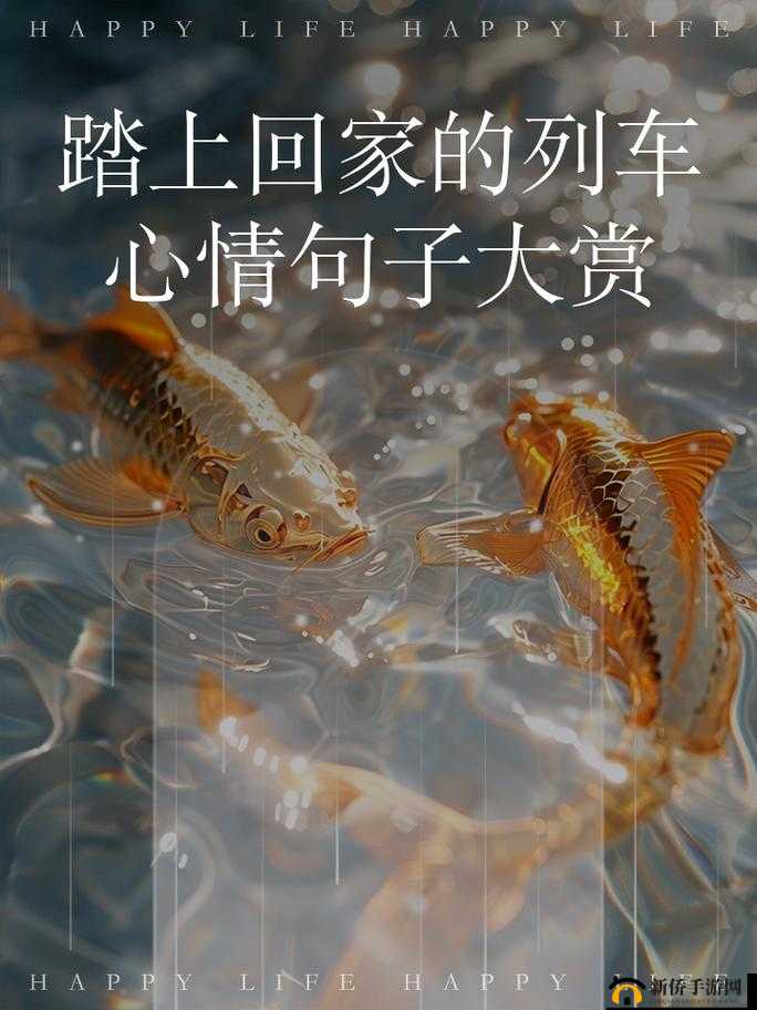 2024 海角最新回家路:心向温暖归途的全新征程
