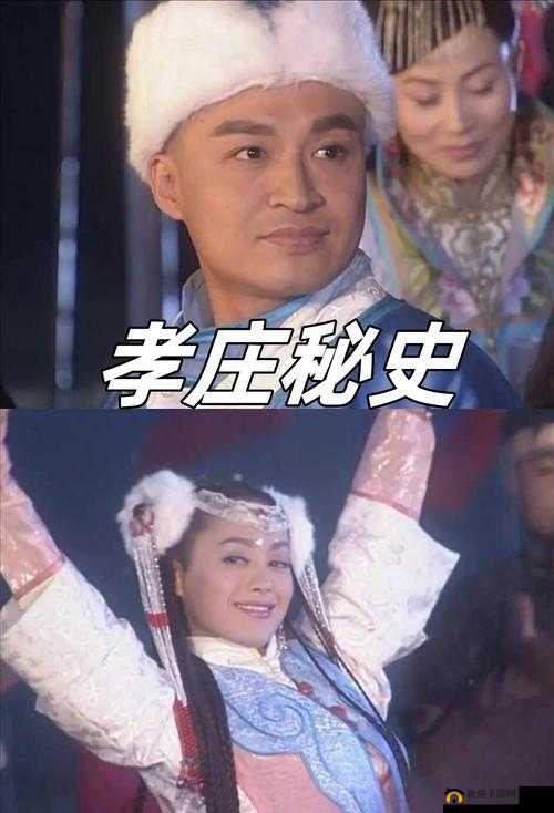 极品芝麻官深度解析，红颜祸水背后的权谋与情感复杂交织