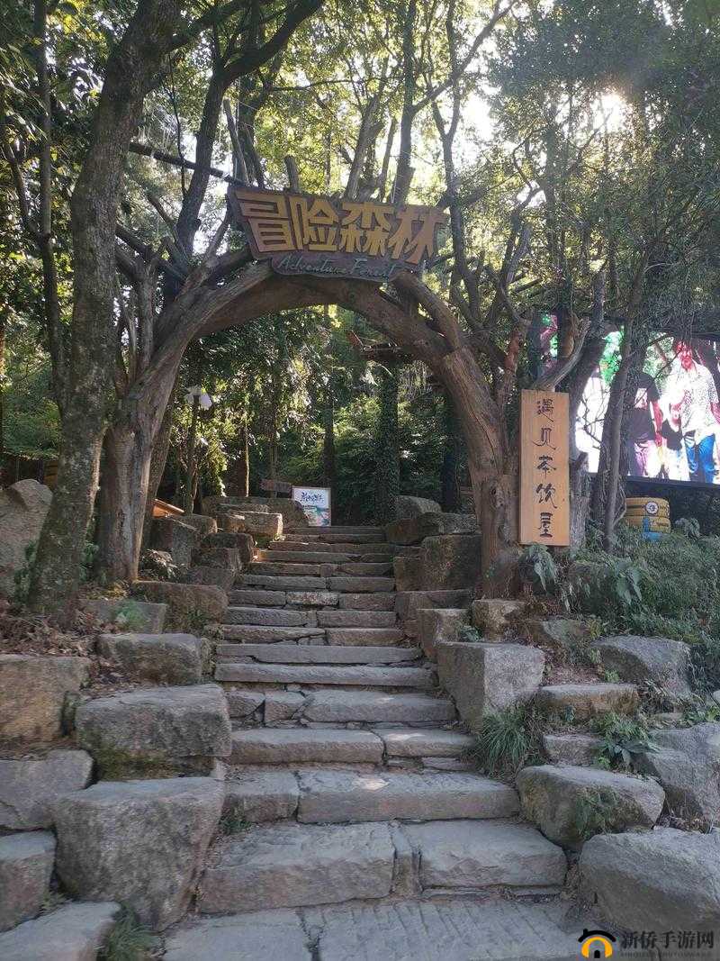 榆树老人的神秘交易:森林中的奇幻冒险