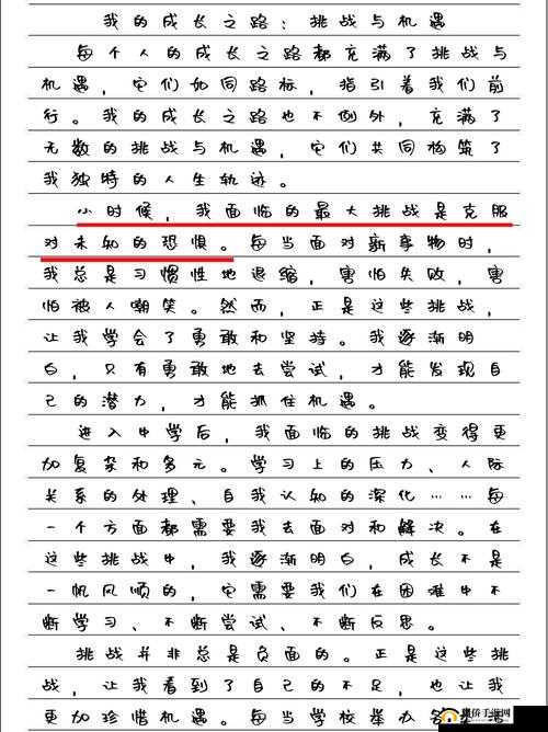 HDHDHD17XXXⅩ:一段充满未知与惊喜的神秘之旅