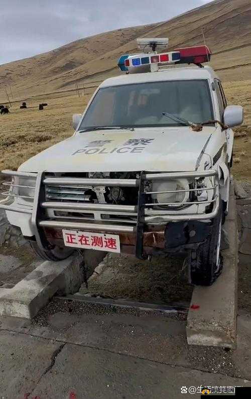国产无人区码 SUV:探索无人之境的非凡座驾