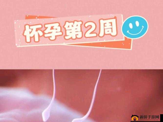 今晚直至怀孕这一过程的奇妙探索