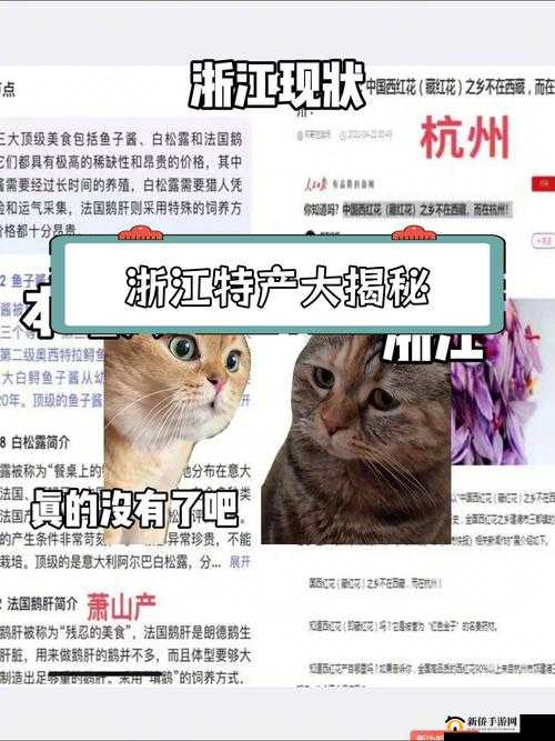 国产一产区二产区:探寻其独特魅力与发展前景