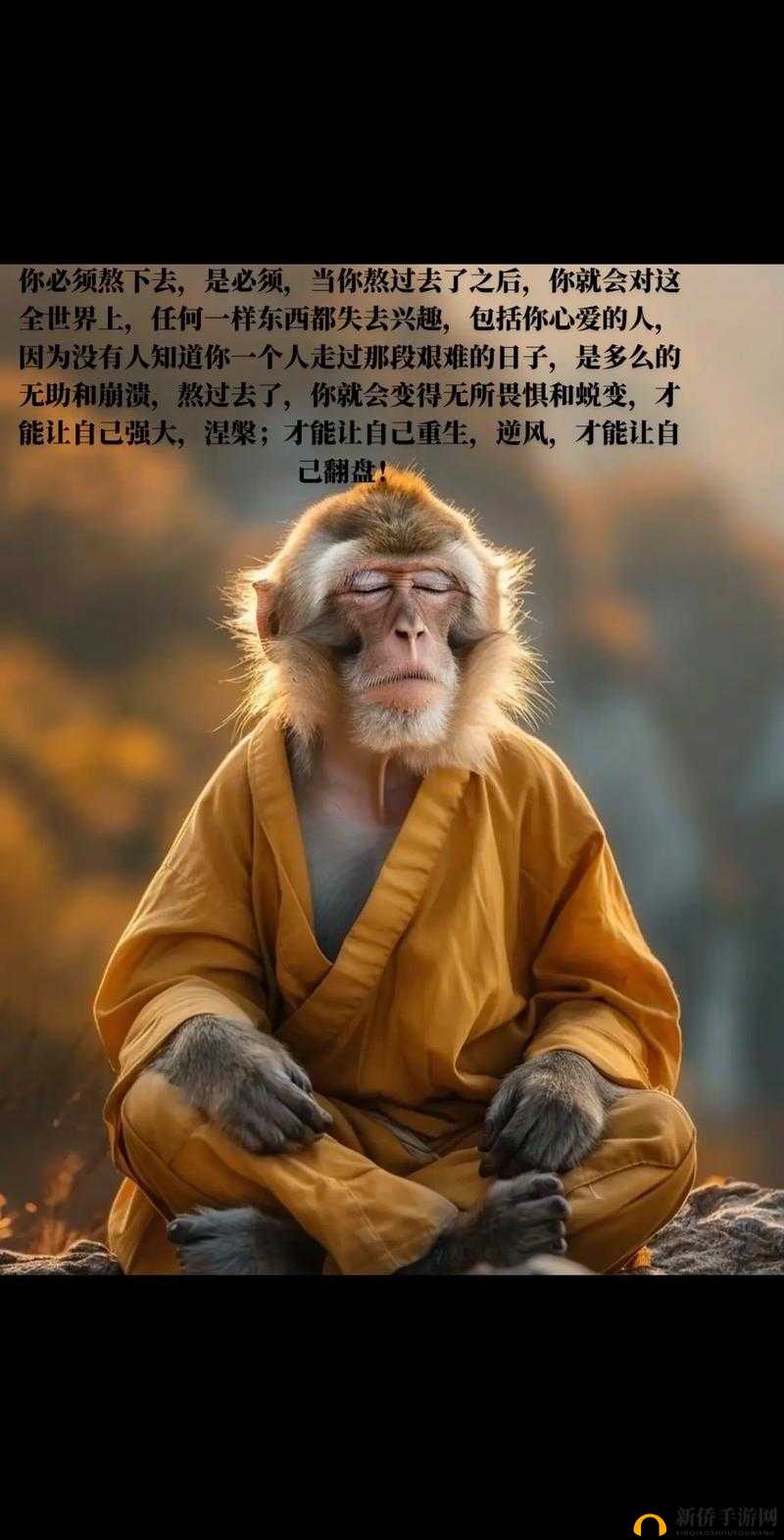 醉仙武中的浪漫之旅,从单身到双人世界的蜕变