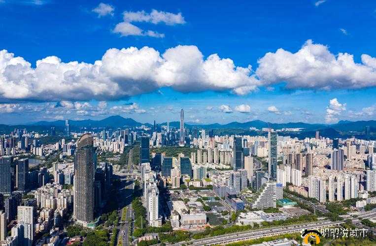 山东和天天综合网:地域特色与综合信息的交汇