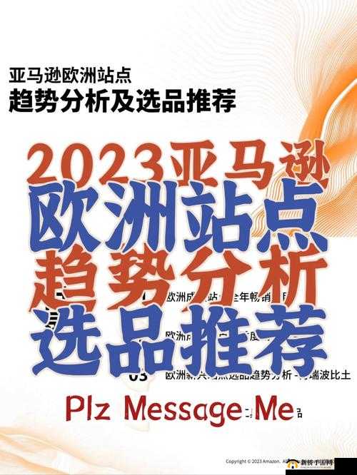 2024 年 AMAZone 欧洲站市场趋势分析-未来电商竞争格局展望与机遇探索