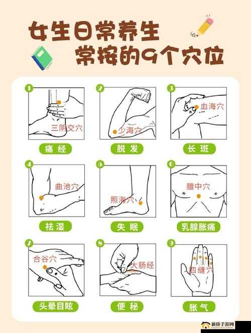 按哪个部位可以提高性功能:中医按摩穴位的详细解析与技巧