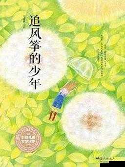 妩媚婷儿风筝少年：一段美好而难忘的青春故事