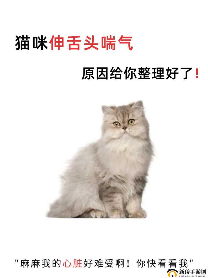 一边伸舌头一边快速喘气:揭秘这种奇特行为背后的原因