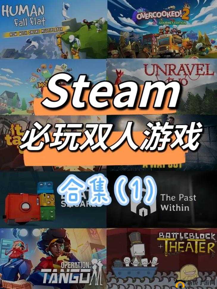 双人游戏大全:涵盖多种类型的精彩双人游戏集合