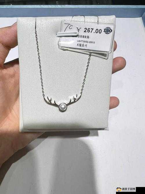 一品堂 s925 纯银项链:璀璨闪耀,时尚必备