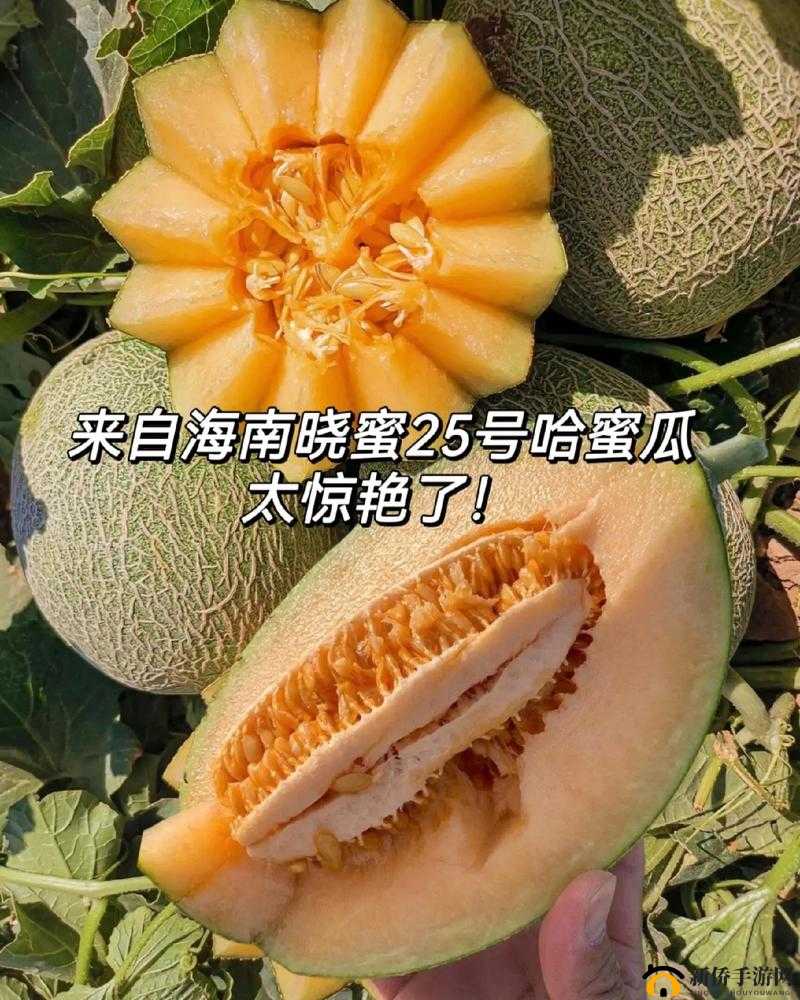 爆料海角热门吃瓜：娱乐圈那些不为人知的惊人秘闻