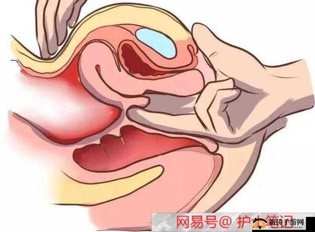 激情性爱护士 DB：打破伦理边界的禁忌之旅