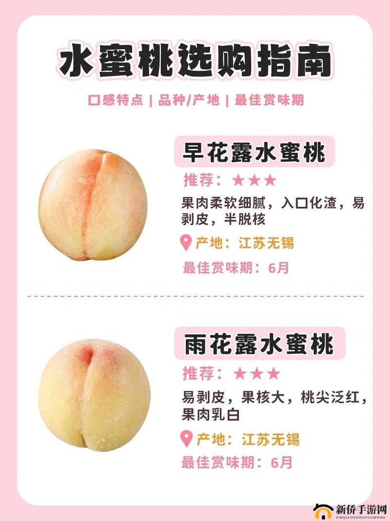 日本水蜜桃品种岭风,为何如此受欢迎?