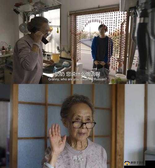 大结局 2:亲情会闪闪:跨越血缘的感人故事