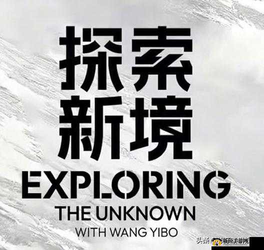 91 干 B:探索未知的神秘领域