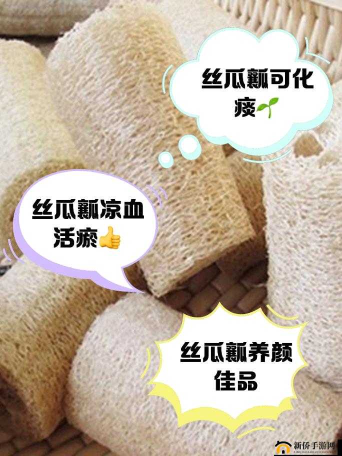 草莓丝瓜：新鲜美味的蔬果带来健康与甜蜜生活