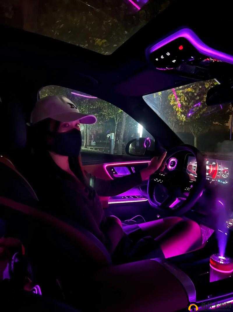车：颠一下就 c 进肉，令人脸红心跳的旅程