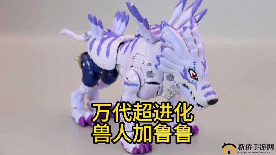 究极数码进化8月30日新服最速获得加鲁鲁兽,资源管理与策略优化指南