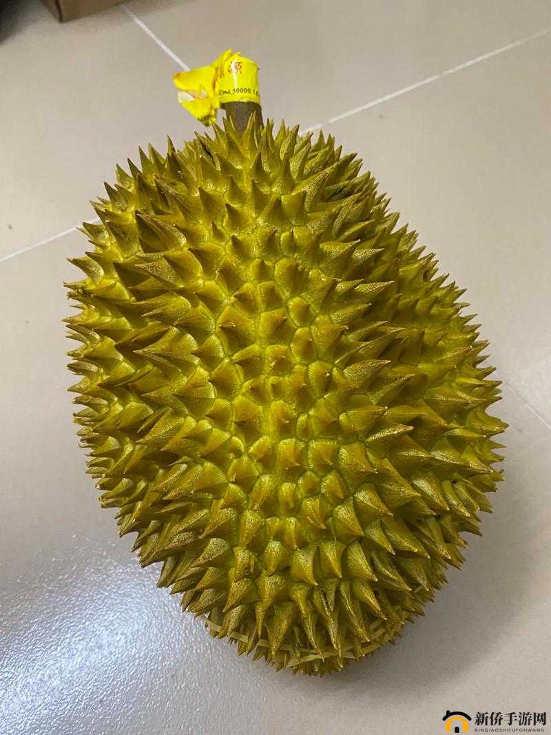 榴莲视频网站:一个提供丰富多样视频内容的平台