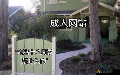 无吗做爰视频 梦奇直播 网站建设:打造纯净的成年人视频分享平台