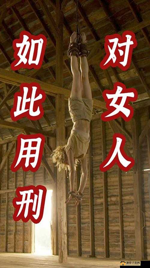 美女被屌捅软件引发的一系列奇妙经历探讨