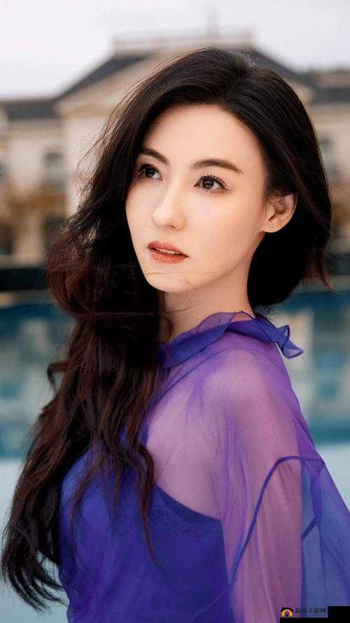 张柏芝照艳高清全集:经典之作,不容错过