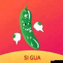 草莓榴莲黄瓜丝瓜蕾丝：美味果蔬与精致蕾丝的奇妙组合