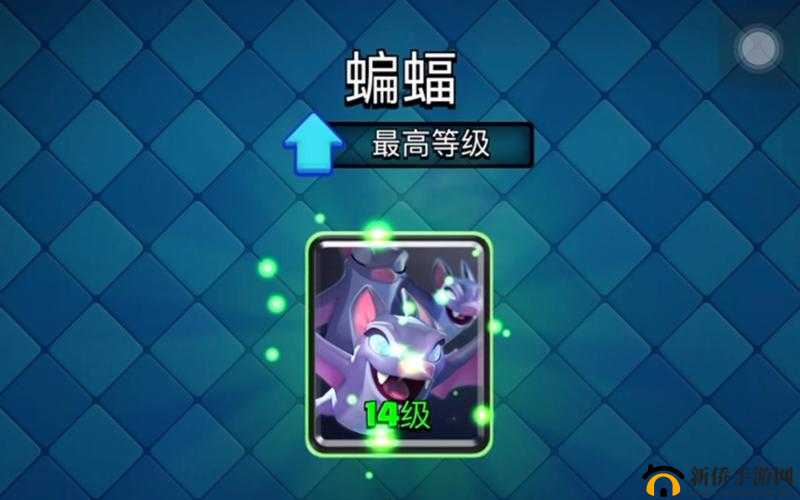 皇室战争中的小蝙蝠，策略与效果分析