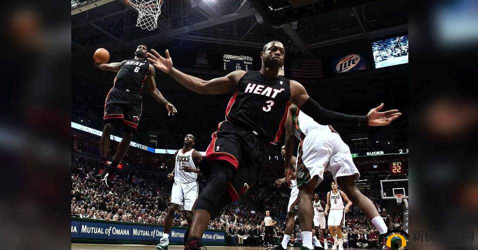 NBA 高清在线观看免费 Jenn:呈现精彩赛事瞬间