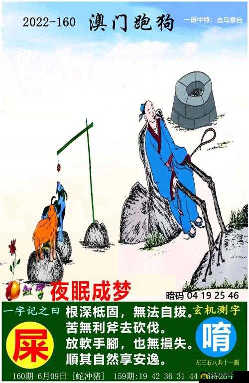 澳门最快开奖记录今天开的什么:探寻开奖背后的秘密与意义