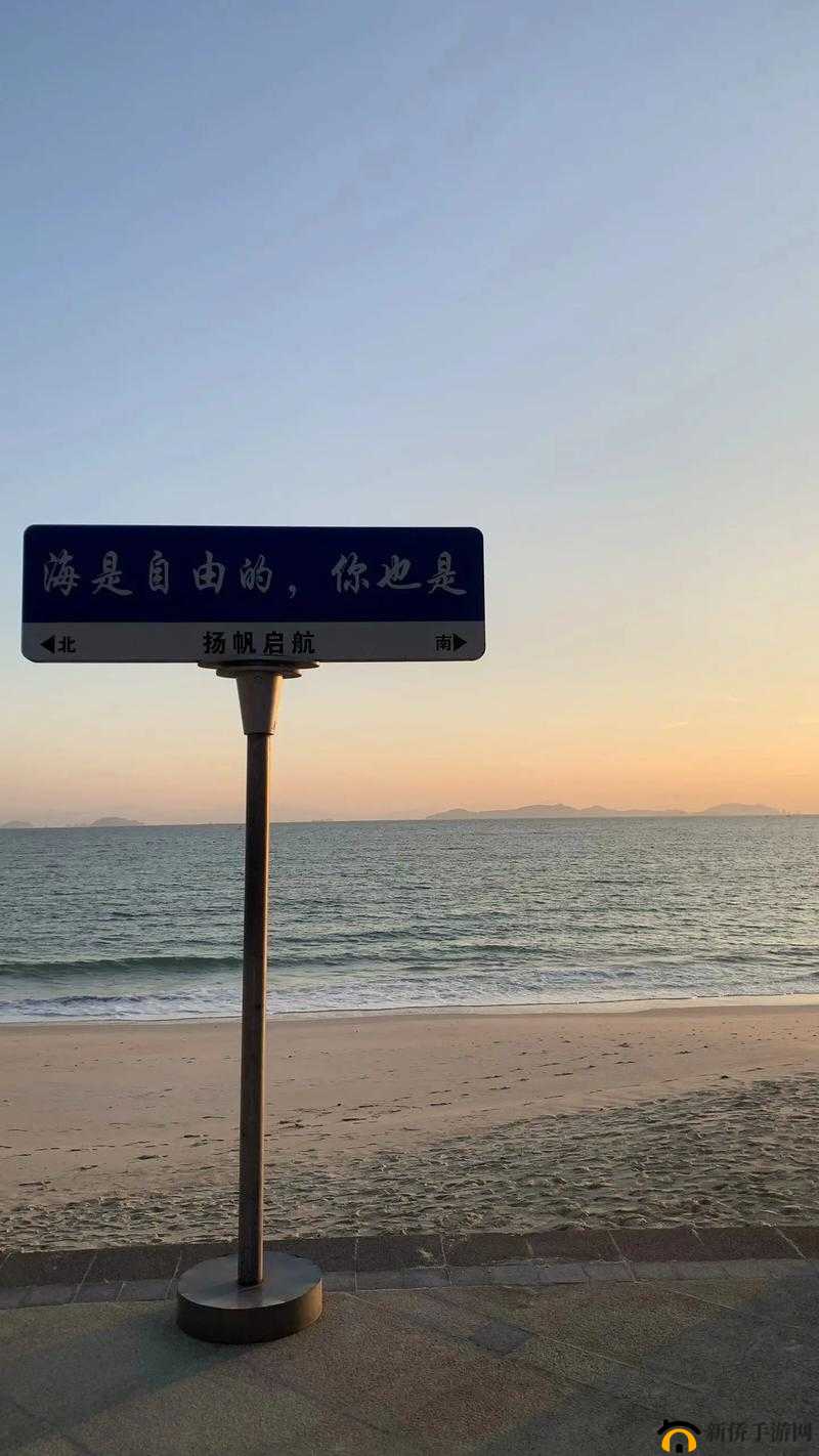 XX 视频:释放你的自由之美