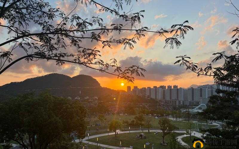 樱花草在线社区 www:分享生活,感受美好