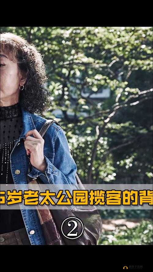公园里的老年镖客视频大全停播了:经典不再,回忆永存