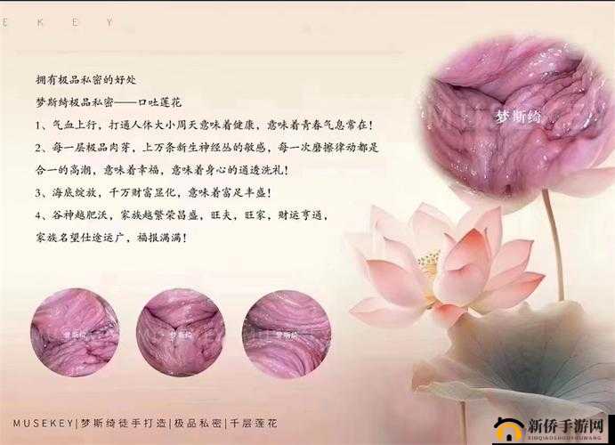 女人千层莲花激活后究竟会呈现出何种模样呢