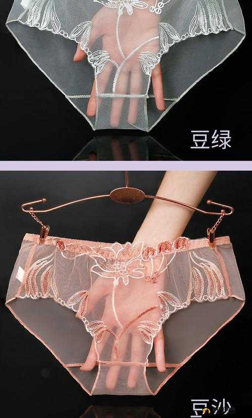 女士三角内一根线透明:探索其背后的独特设计理念