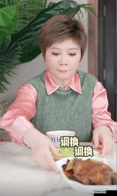 中国 bgmbgmbgm 老头与老妇的别样生活故事