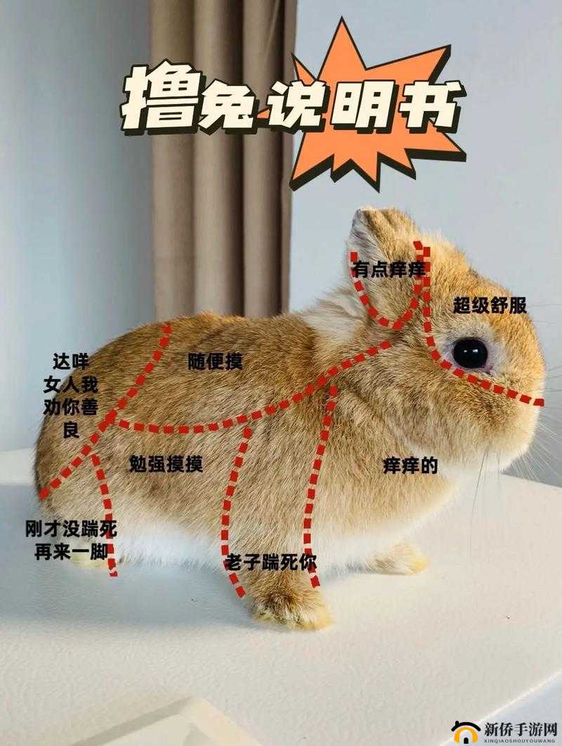如何巧妙引导老公吃小兔兔的温馨妙招探讨