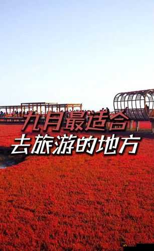 就去吻九月在线:带你领略独特的浪漫风情之旅
