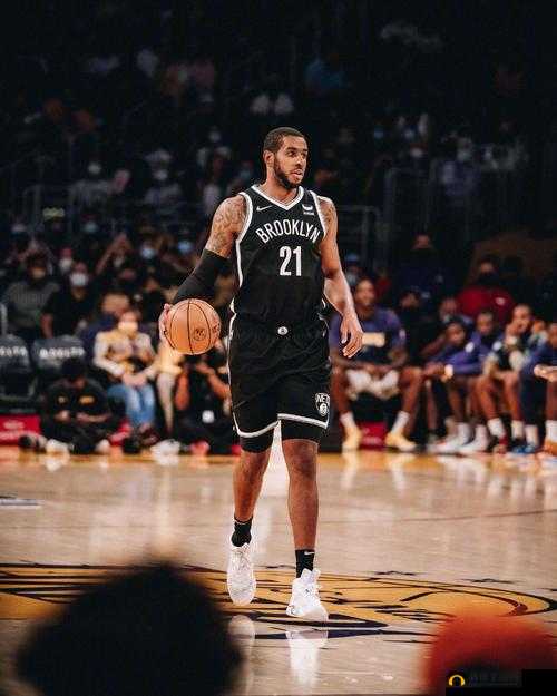 NBA传奇大前锋,拉马库斯·阿尔德里奇的辉煌之路