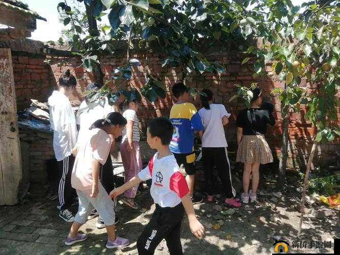 魔法禁书目录生存训练怎么过,生存训练无伤通关攻略全解析