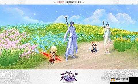 九州天空城3D,秘术师的奇幻之旅与宠物选择